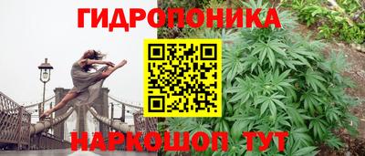 каннабис Волжский