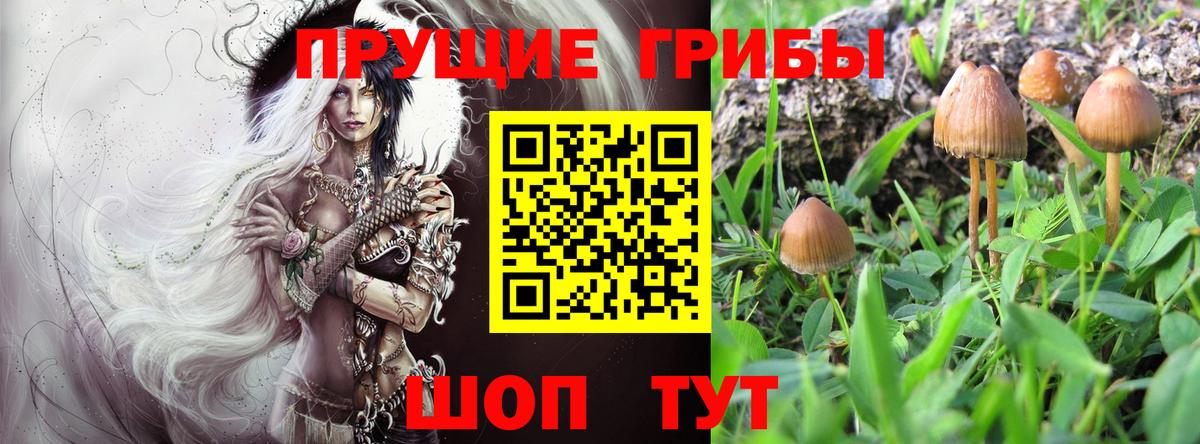 Гусиноозёрск  Псилоцибиновые грибы MAGIC MUSHROOMS  Вход с VPN 
